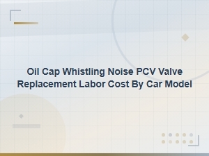 Oil Cap Whistling Noise Pcv Valve Replacement Labor Cost by Car Model